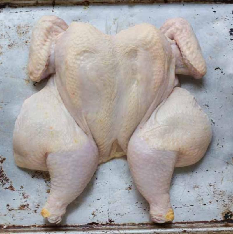 Spatch (+/- 1.5kg)